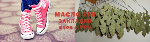 шишки Заволжье