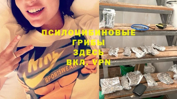 стафф Медногорск