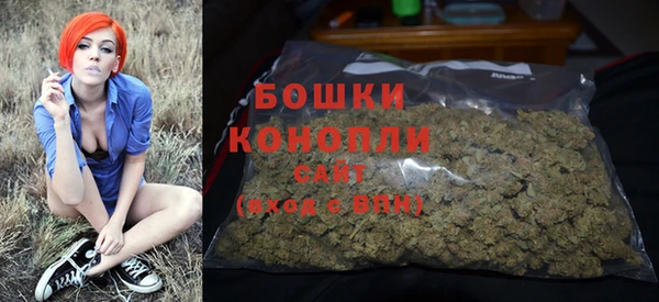 молекула духа Михайловка