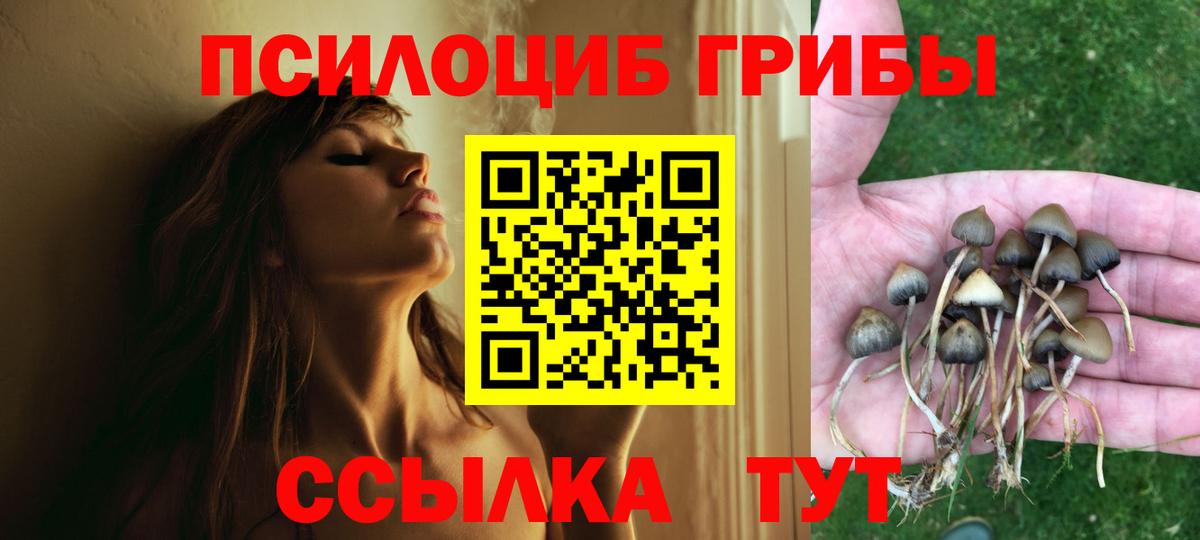 ГАШИШ Кандалакша
