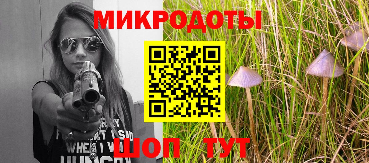 Псилоцибиновые грибы Cubensis  Кандалакша  Псилоцибиновые грибы ЛСД 